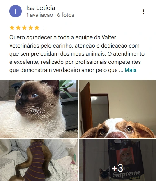 Avaliação real de tutor no Google