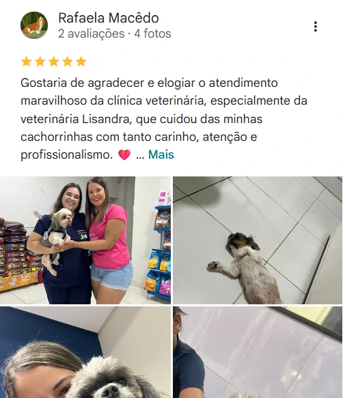 Avaliação real de tutor no Google