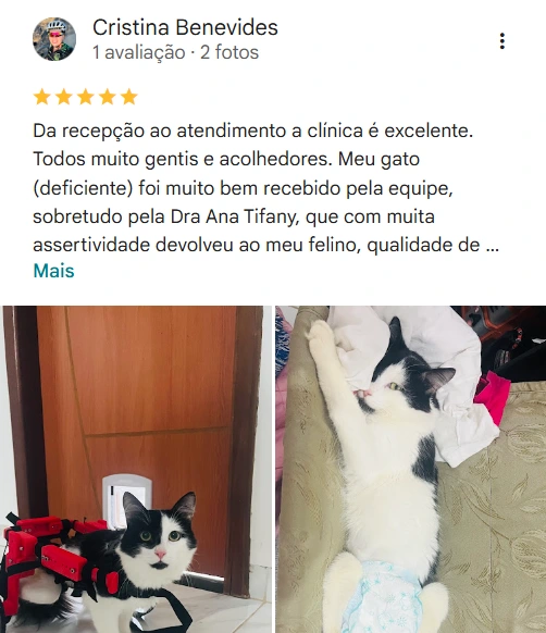 Avaliação real de tutor no Google