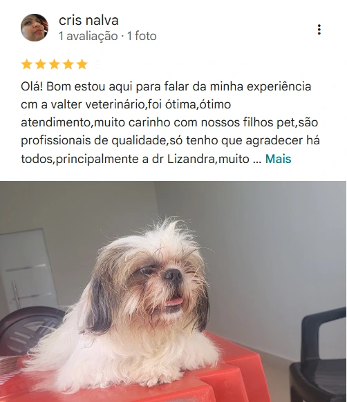 Avaliação real de tutor no Google