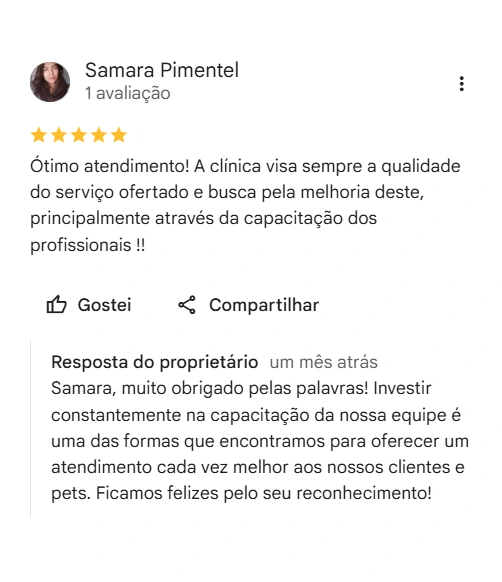 Avaliação real de tutor no Google